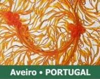 Sharing Cultures 2013: 3rd International Conference on Intangible Heritage